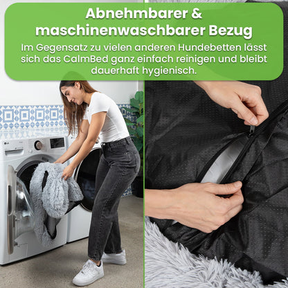 Calmbed – Für besseren Schlaf und einen ruhigeren Hund